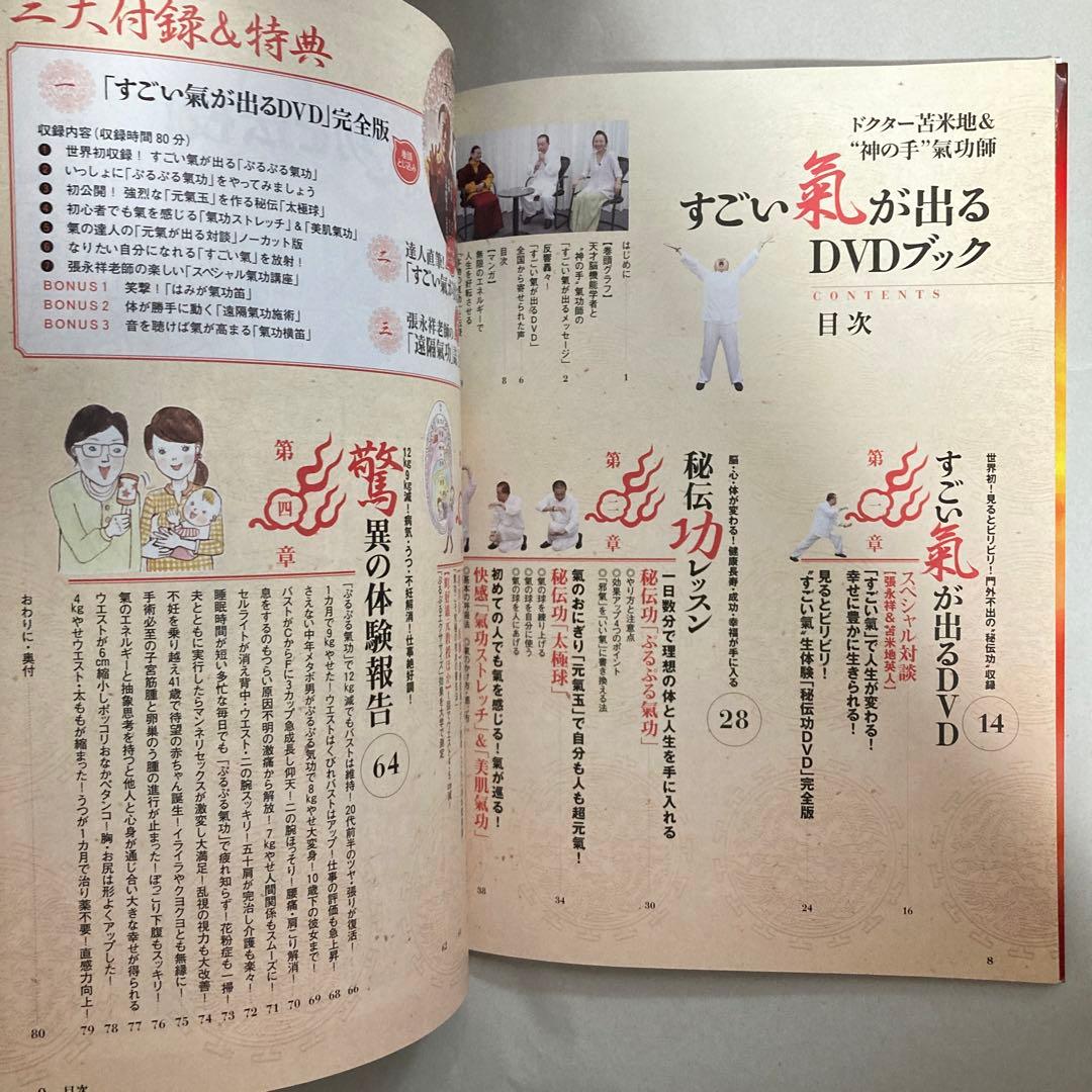すごい氣が出るDVDブック : ドクター苫米地&\"神の手\"氣功師　匿名配送