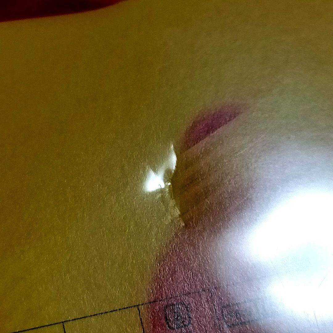 玉置浩二DVD 今日というこの日を生きていこう LIVE inZeppTokyo