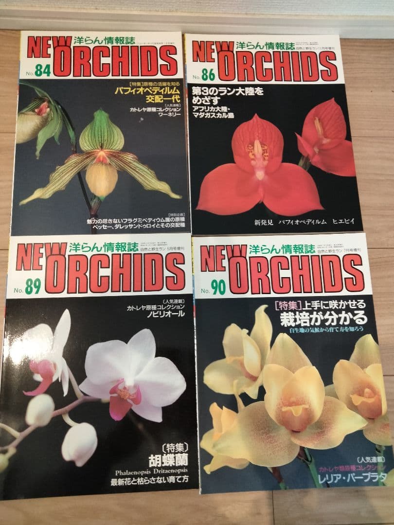 趣味の洋ラン　 ニューオーキッド10冊 洋蘭雑誌　洋ラン雑誌　フラグミペディウム