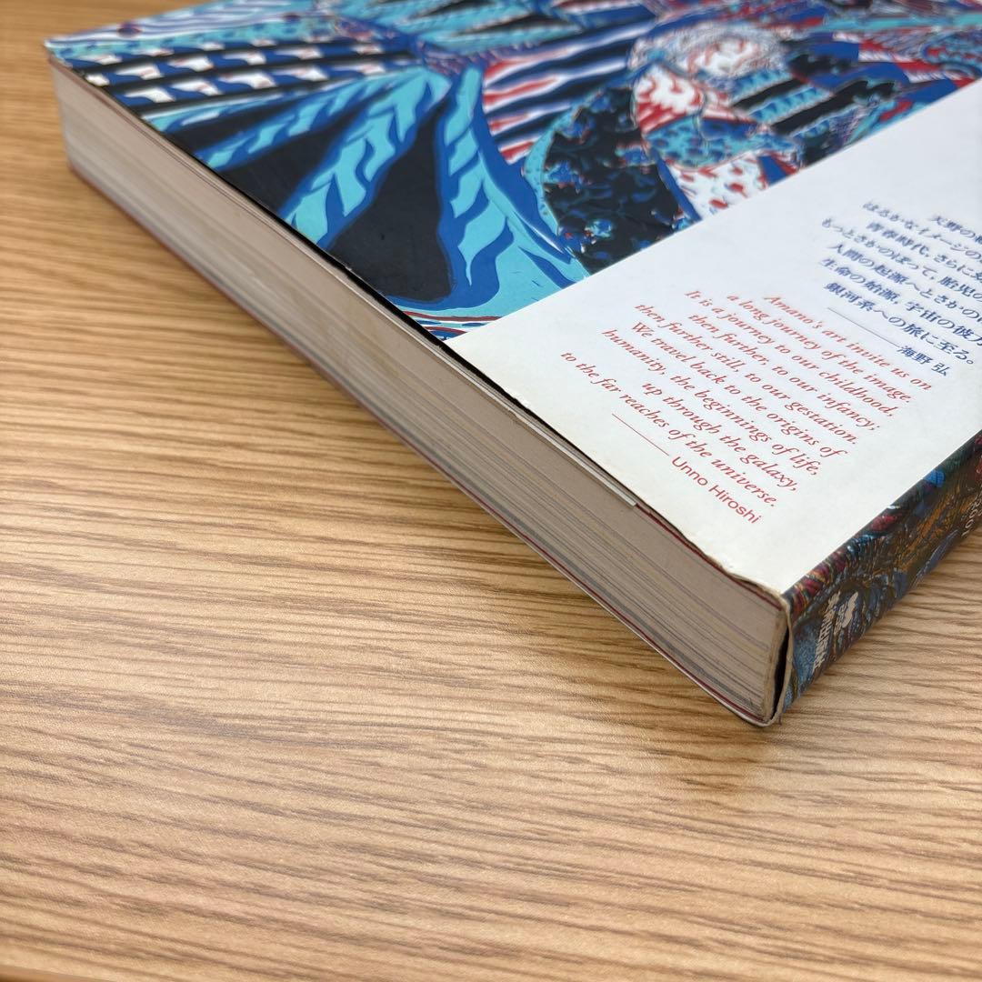 天野喜孝 全版画集 1991-2001