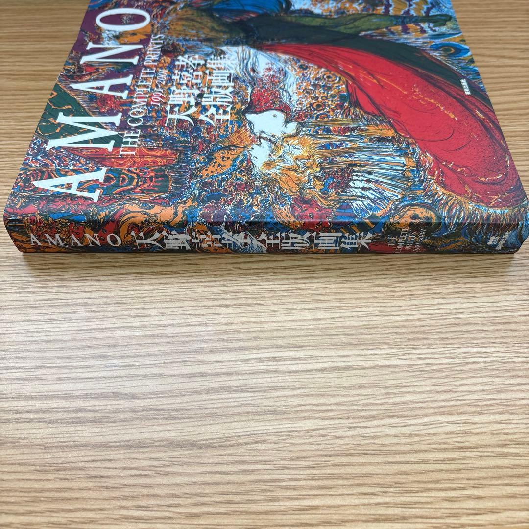 天野喜孝 全版画集 1991-2001