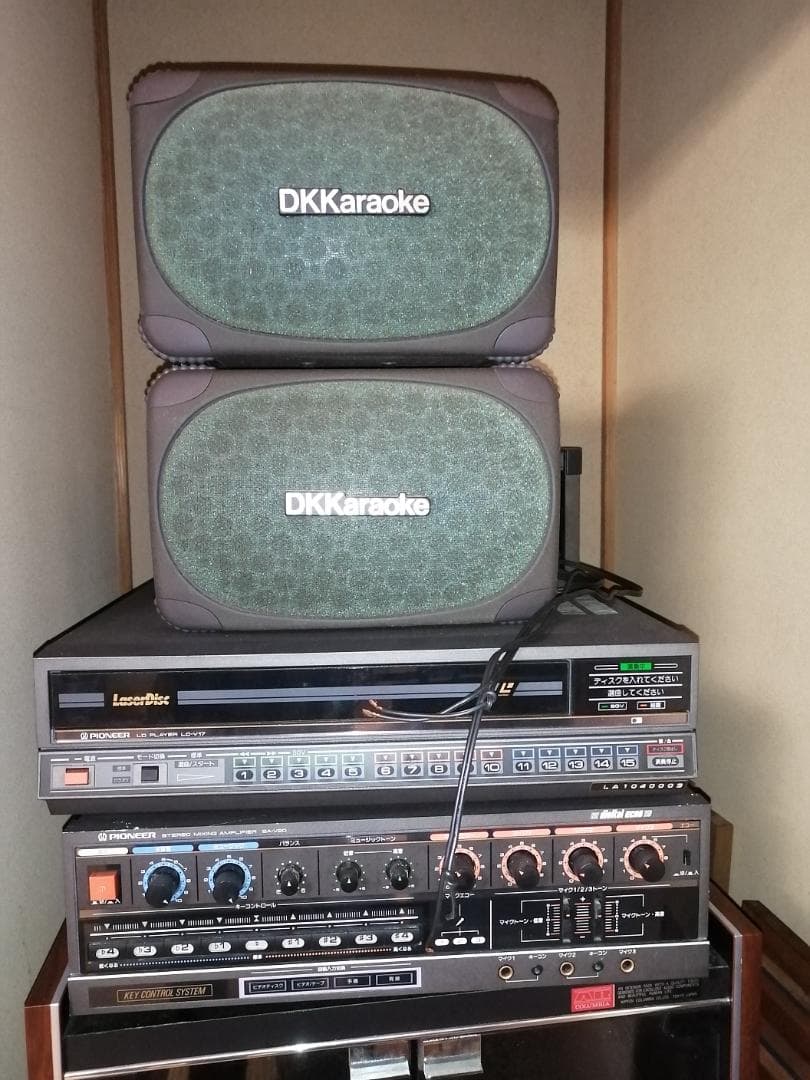 はらぺこあおむし　DKレーザーディスク150枚