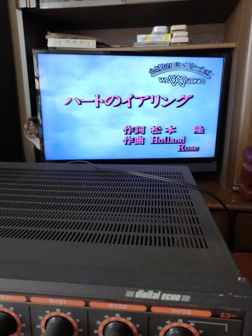 はらぺこあおむし　DKレーザーディスク150枚