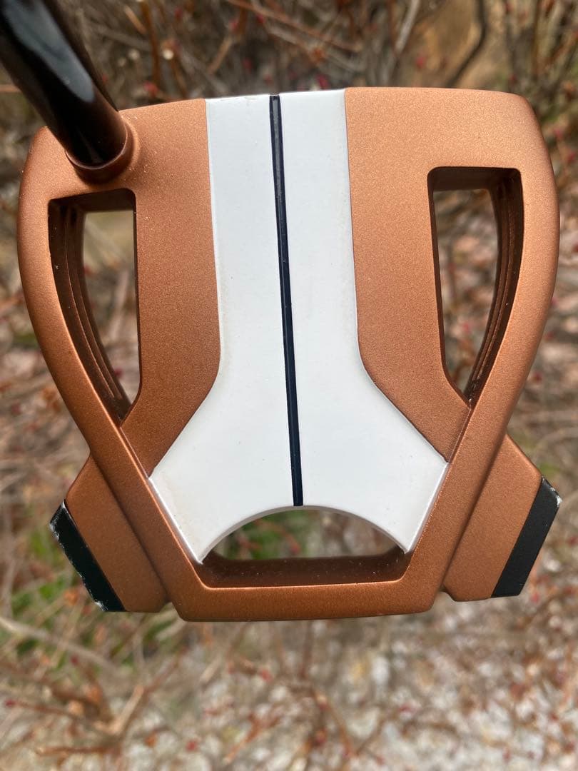 テーラーメイド　スパイダー X SX-72パター