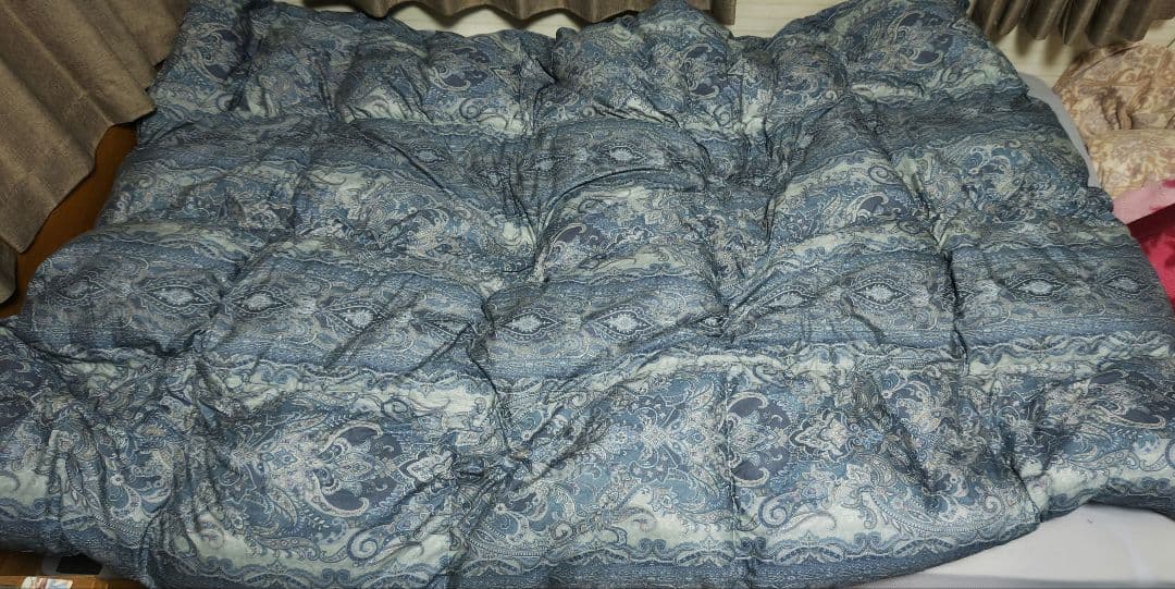 tb 昭和西川羽毛掛チェコシルバグース90