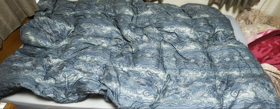 tb 昭和西川羽毛掛チェコシルバグース90