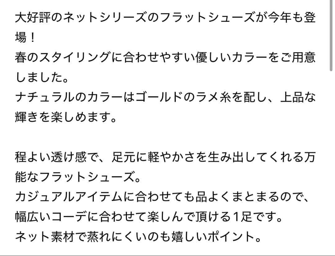 【EC完売品】LE TALON ポインテッドネットフラット