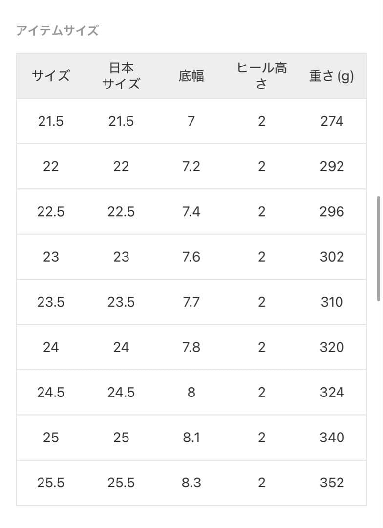 【EC完売品】LE TALON ポインテッドネットフラット