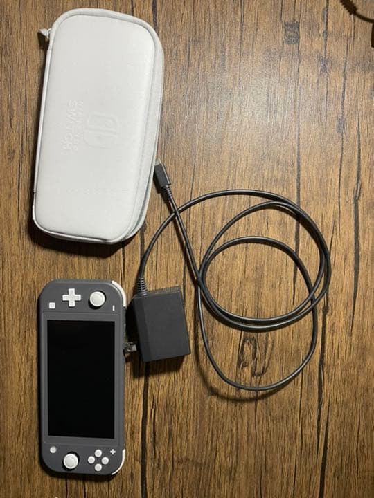 Nintendo Switch Lite 本体 ポーチ、充電器付き