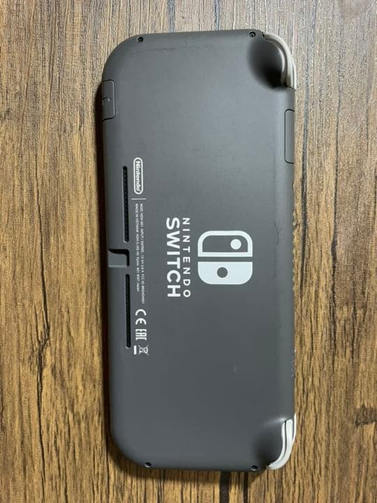 Nintendo Switch Lite 本体 ポーチ、充電器付き