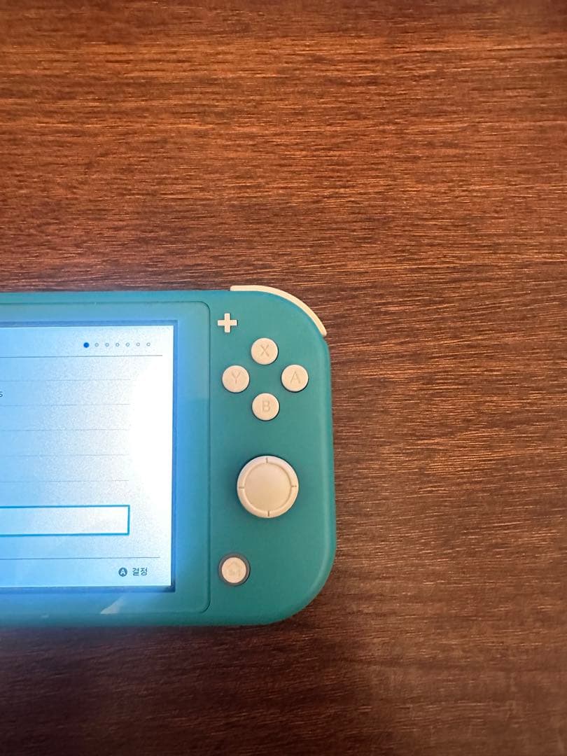 Nintendo Switch Lite ターコイズ 本体のみ 動作確認済み