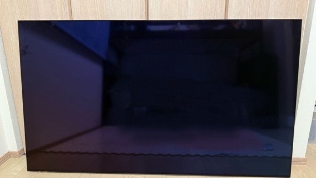 Panasonic TH-55LW1L 55インチ 有機ELテレビ