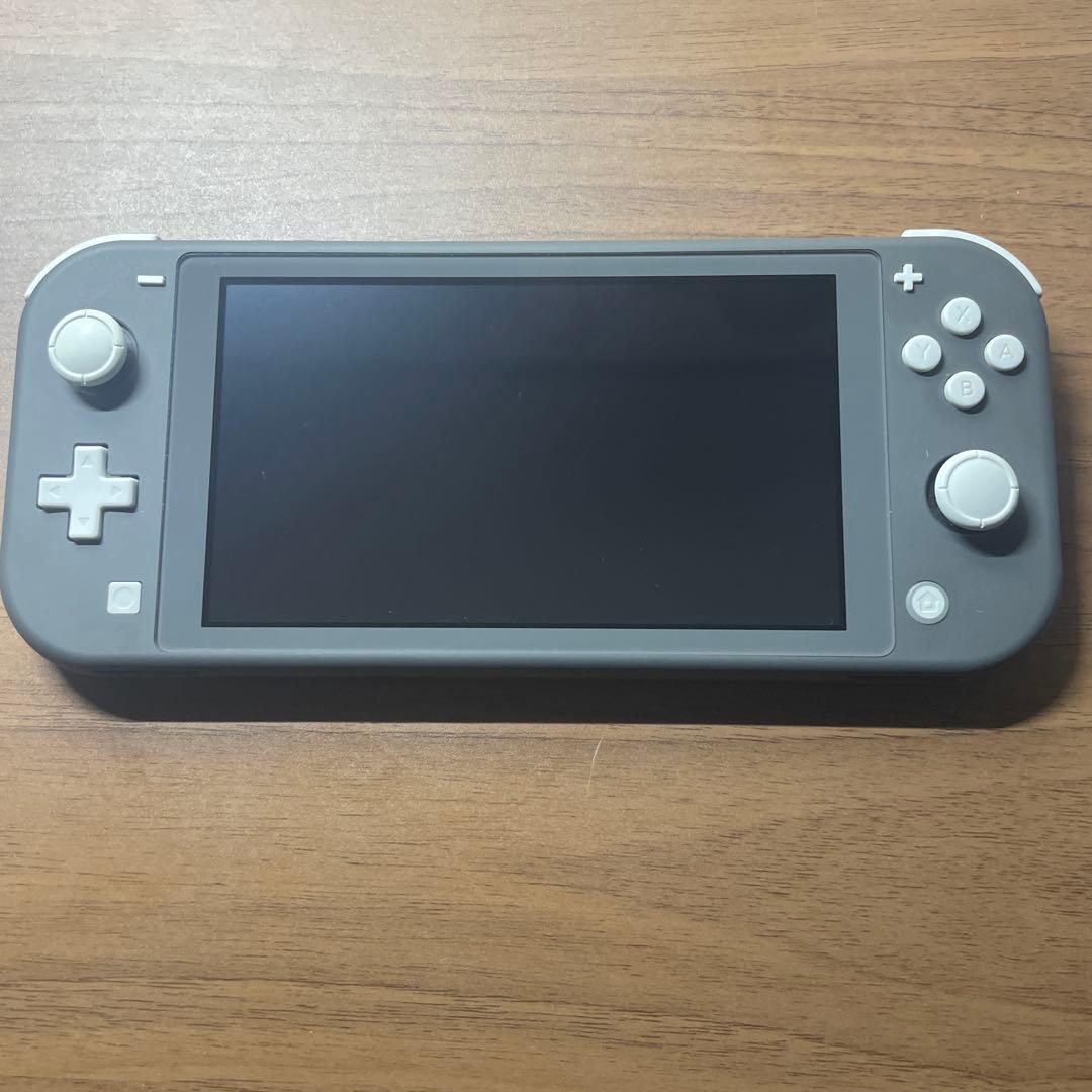 Nintendo Switch Lite グレー 本体 充電器と専用ケース付き