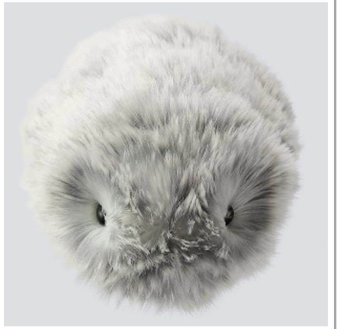 カシオ CASIO PE-M10SR [Moflin（モフリン） AIペット（コ