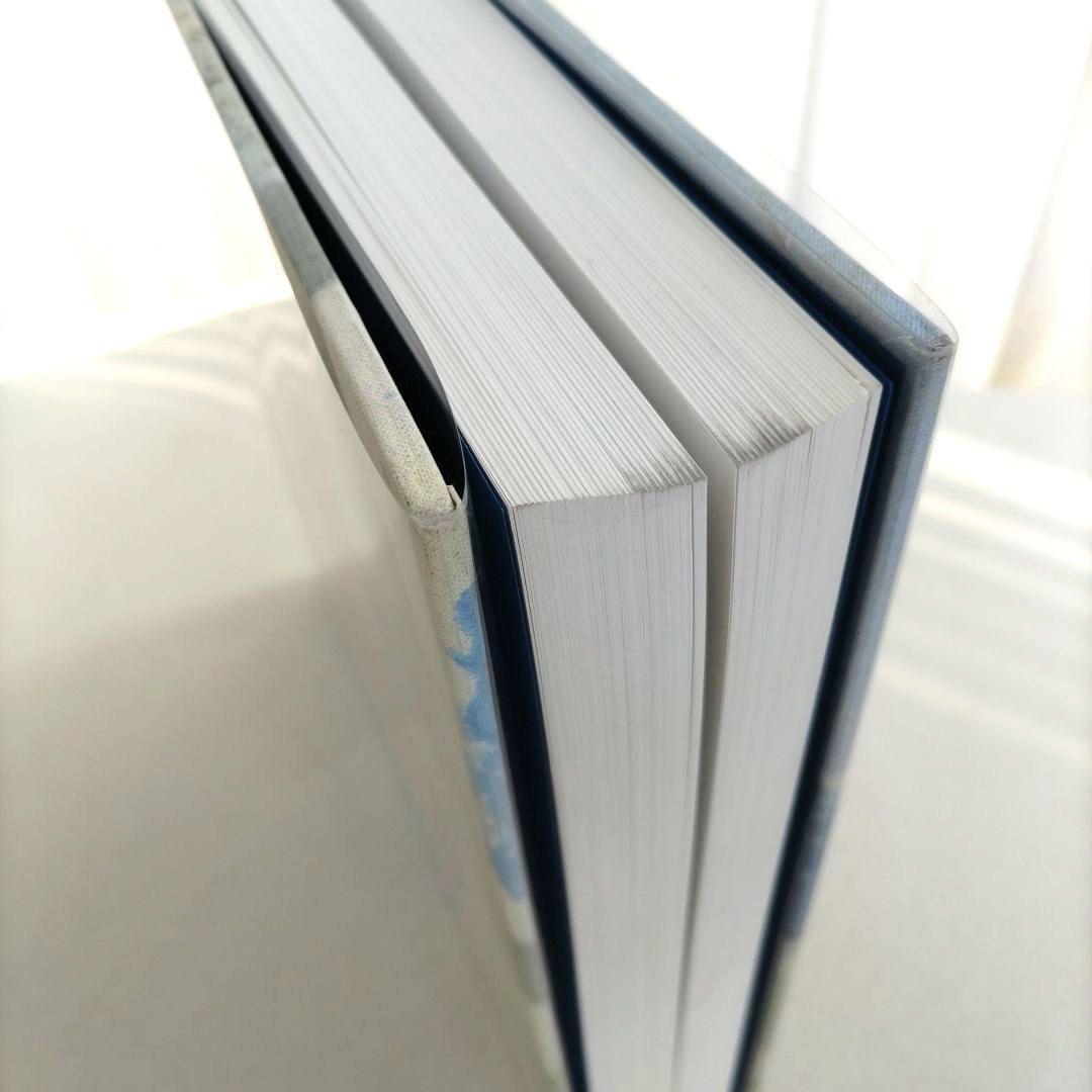 【希少】Frankenthaler/ヘレン・フランケンサーラー 画集 作品集