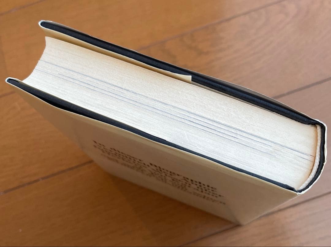 カラヤン　偉大な指揮者たち　その生涯と仕事　ドイツ語　洋書