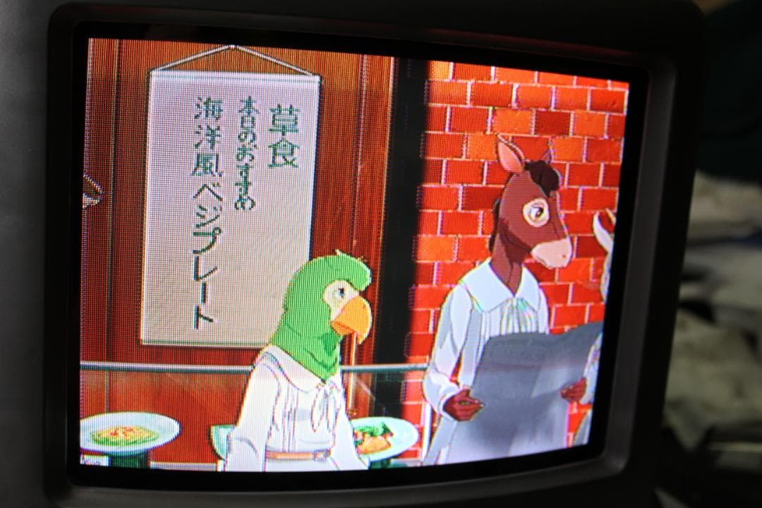 SONY KV-10DS1 ブラウン管テレビ トリニトロン 10インチ