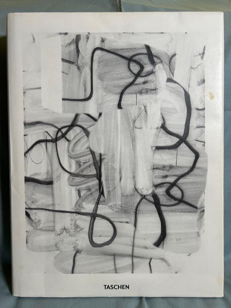 クリストファー・ウール　画集　洋書　大型本