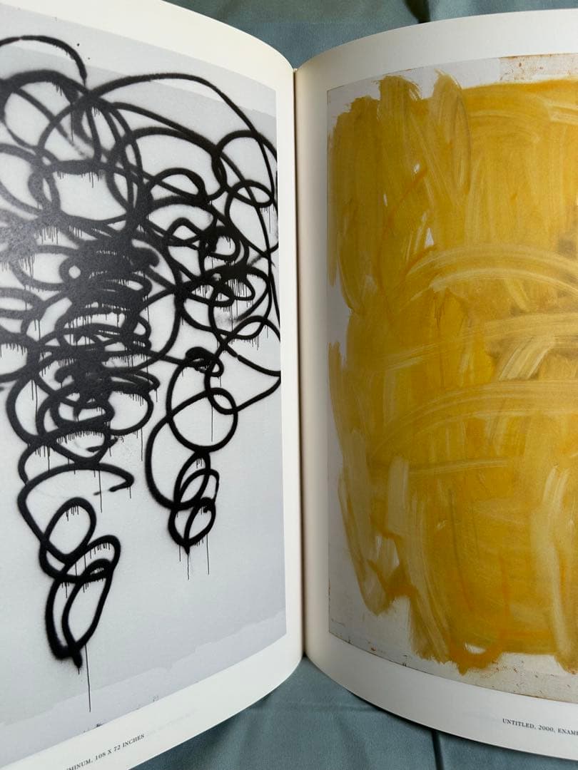 クリストファー・ウール　画集　洋書　大型本