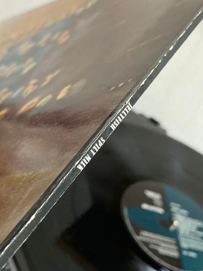 洋楽 Jerryfish / Spilt Milk