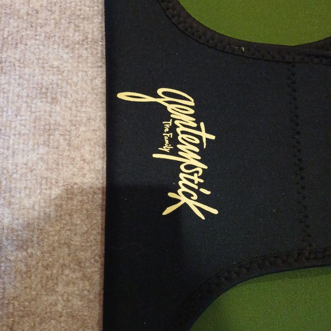 GENTEMSTICK ゲンテンスティック TT158カバー