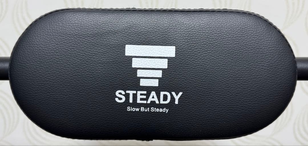 STEADY 懸垂マシン　チンニング ぶら下がり健康器 (ステディ)