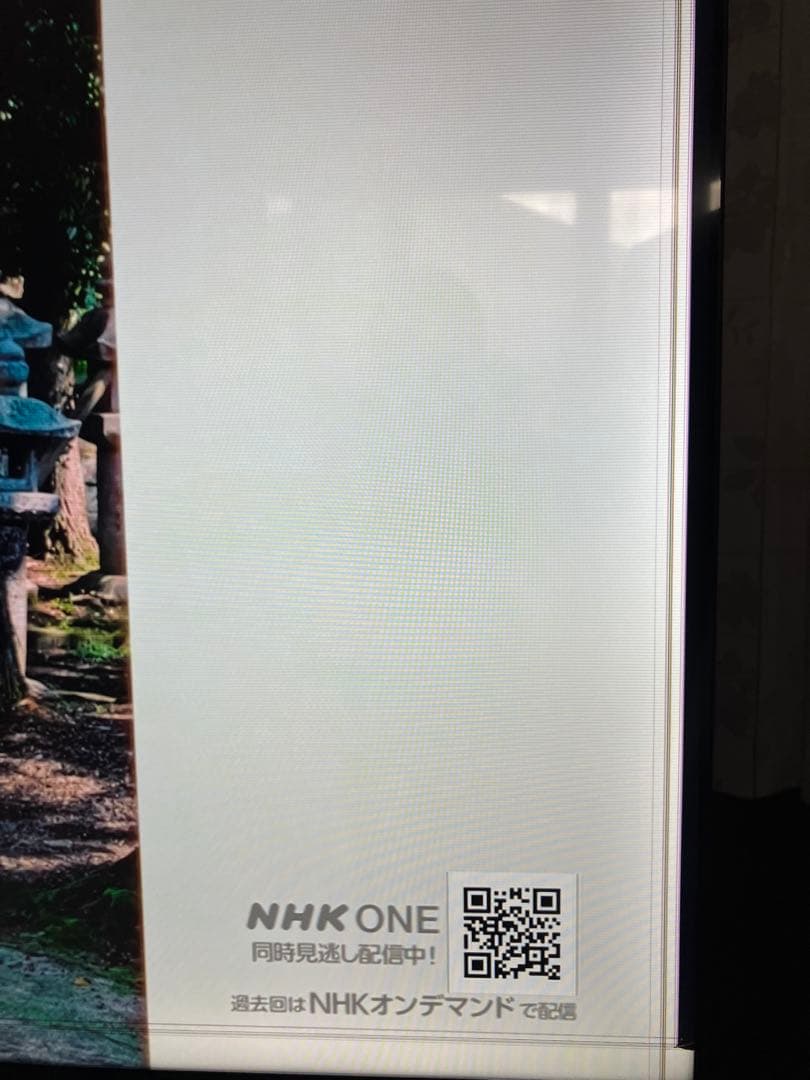 REGZA 65型4K液晶テレビ65E350M