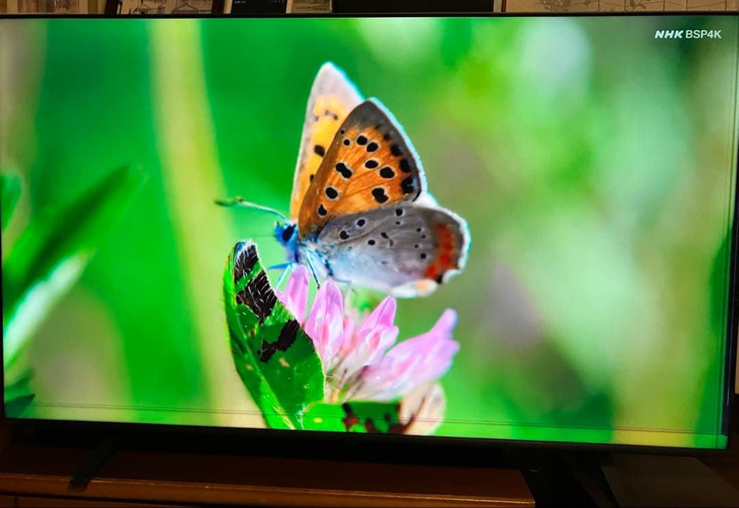 REGZA 65型4K液晶テレビ65E350M