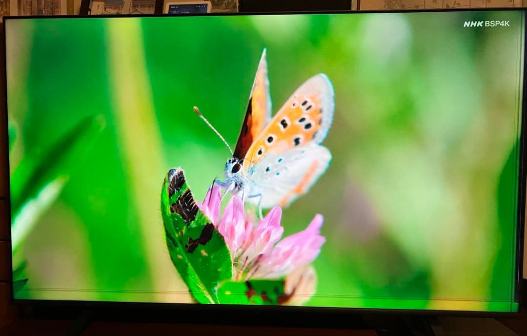 REGZA 65型4K液晶テレビ65E350M