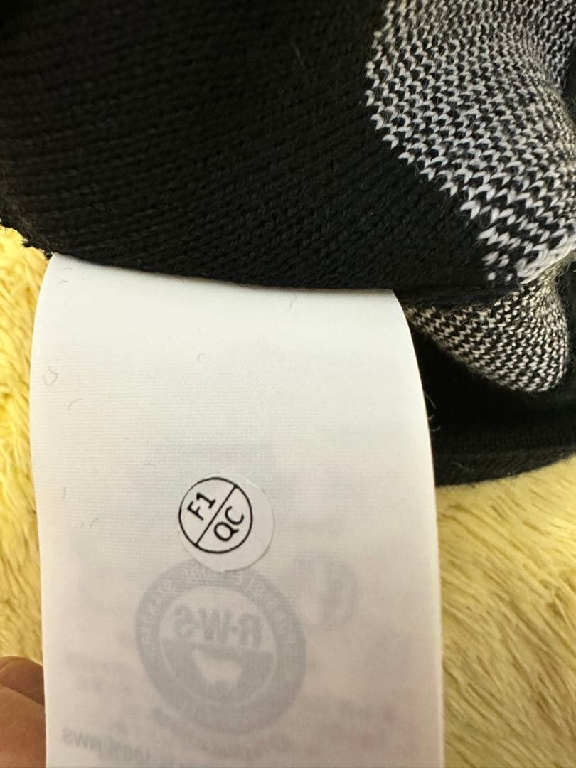 Jasmyn ARC’TERYX バードヘッドトーク