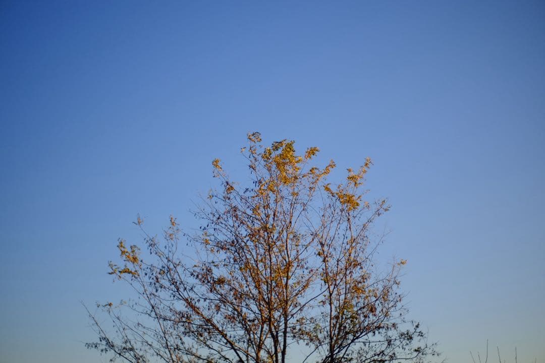 7Artisans 35mm F1.4 単焦点レンズ 箱無し Xマウント