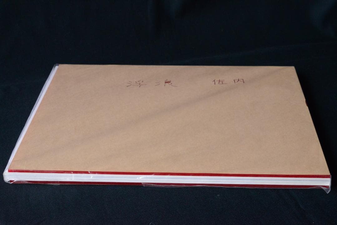 【浮浪】佐内正史 自彫署名 1,000部限定ナンバ入　★★大幅に値下げしました