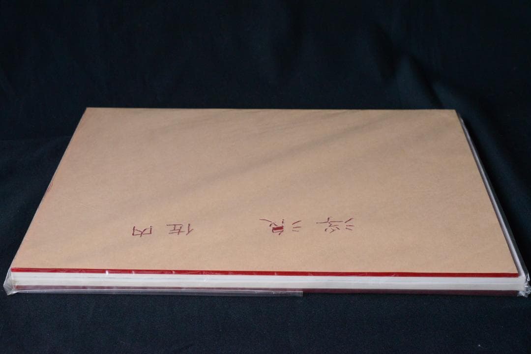 【浮浪】佐内正史 自彫署名 1,000部限定ナンバ入　★★大幅に値下げしました
