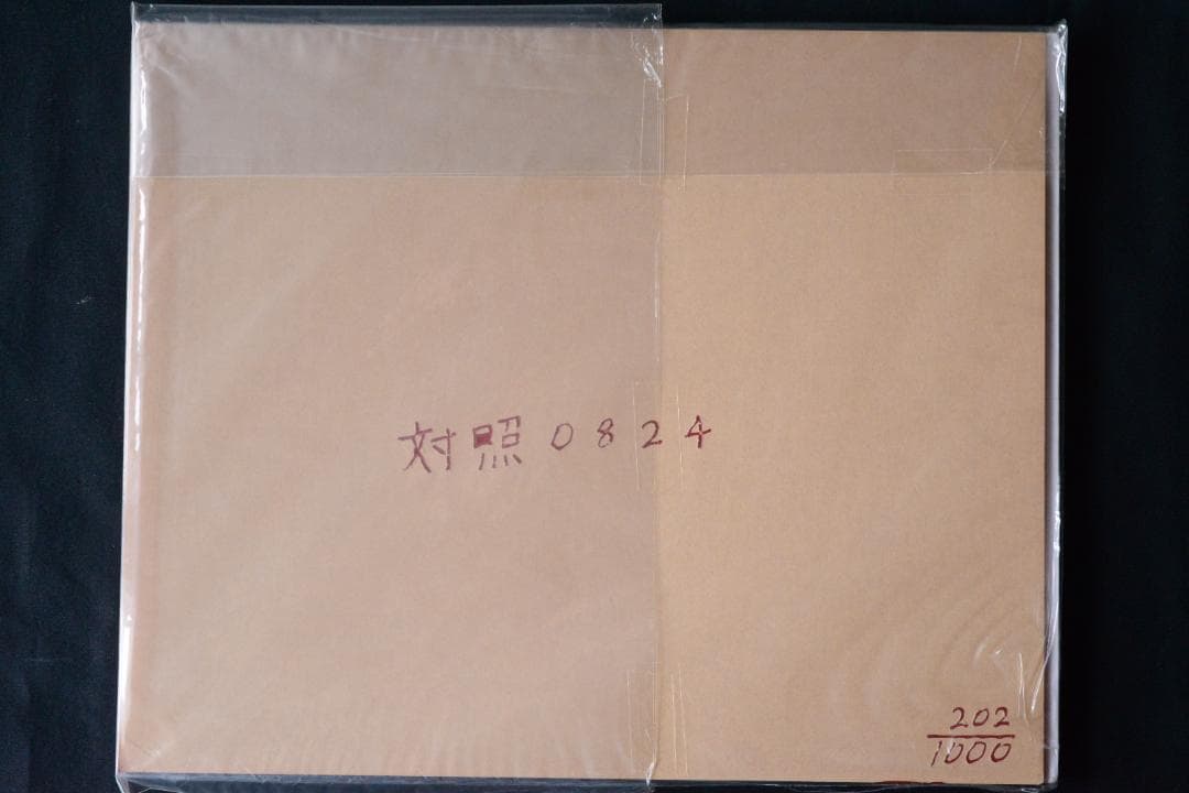 【浮浪】佐内正史 自彫署名 1,000部限定ナンバ入　★★大幅に値下げしました