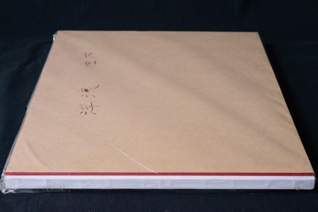 【浮浪】佐内正史 自彫署名 1,000部限定ナンバ入　★★大幅に値下げしました