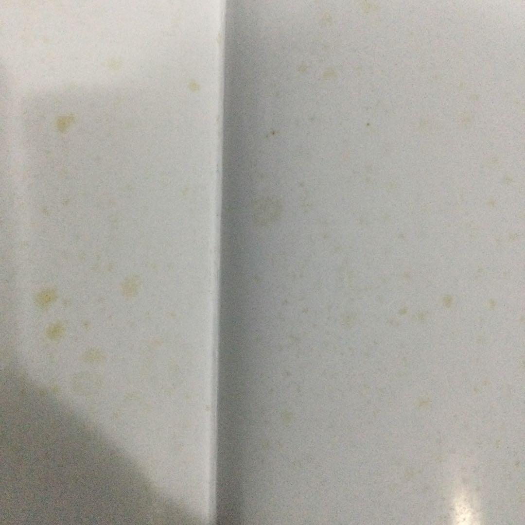 大型本　イズニク　陶器　洋書　皿　タイル　Iznik トルコ　歴史　イズニック