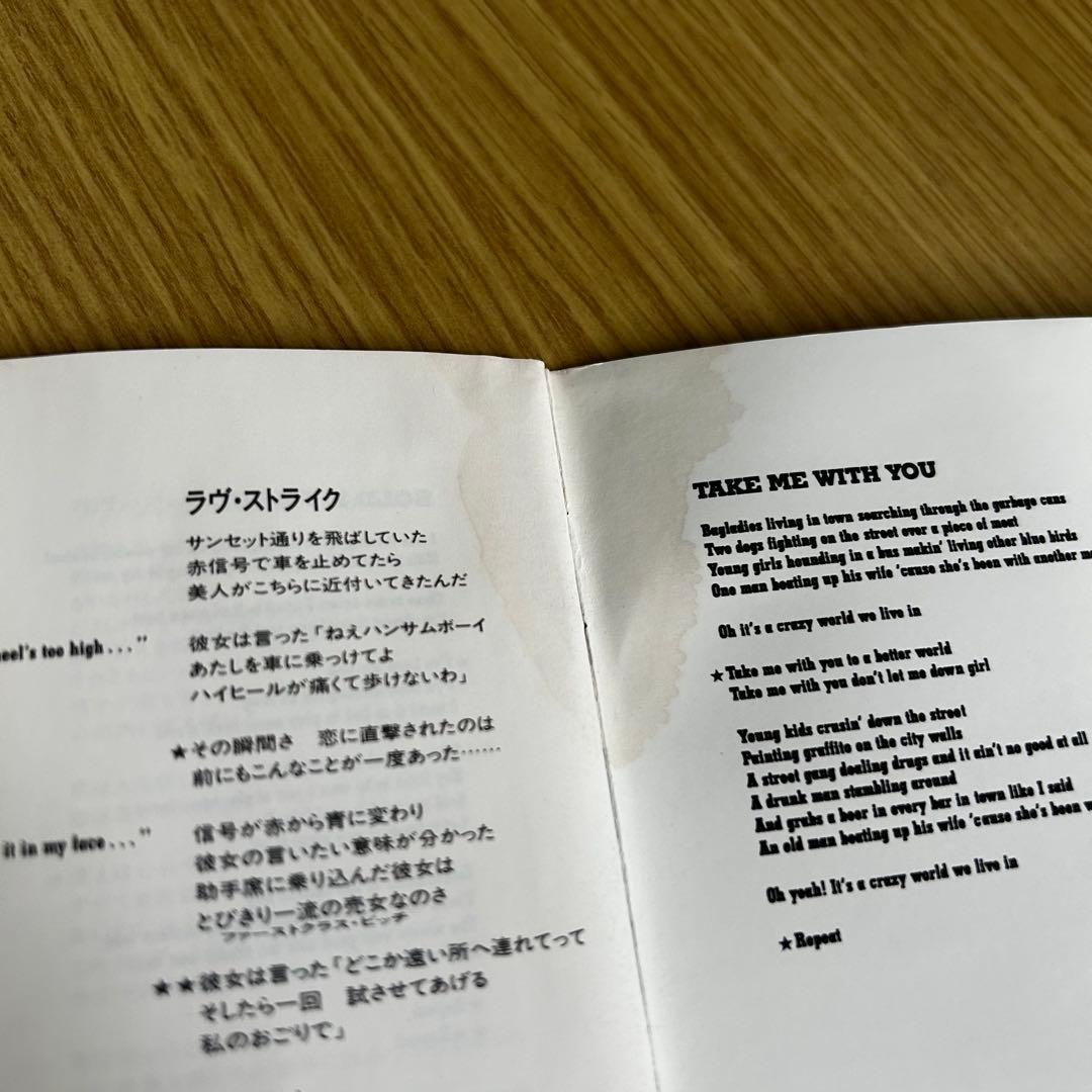 SNAKEPIT REBELS スネイクピット・レベルズ 日本盤帯付CD