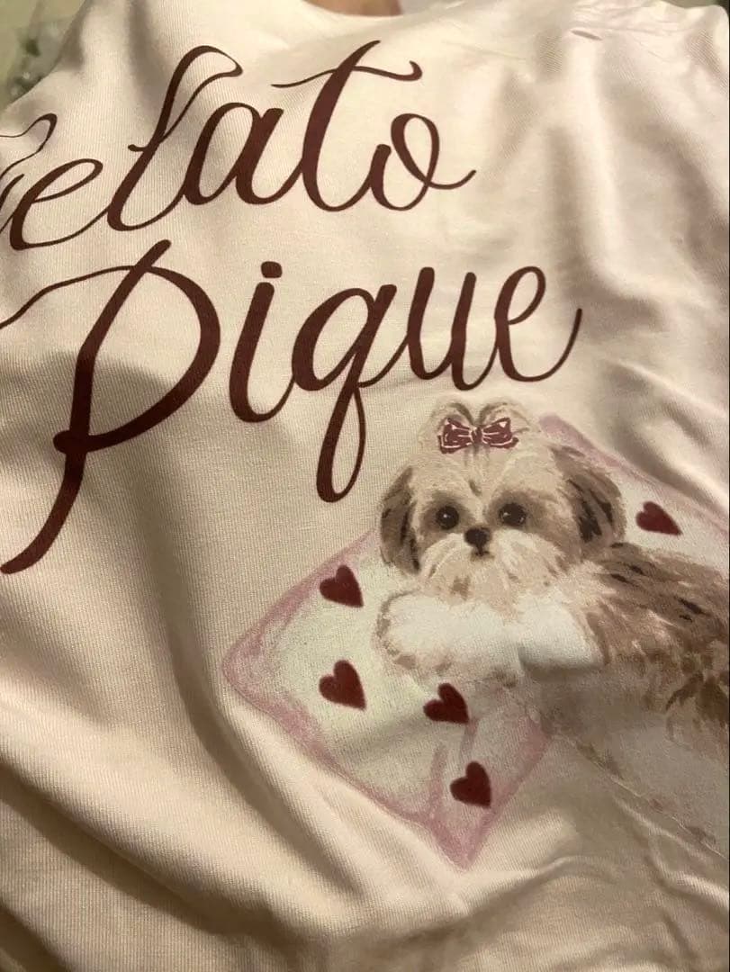 新品！ジェラートピケ☆シーズーのルームウェアピンク