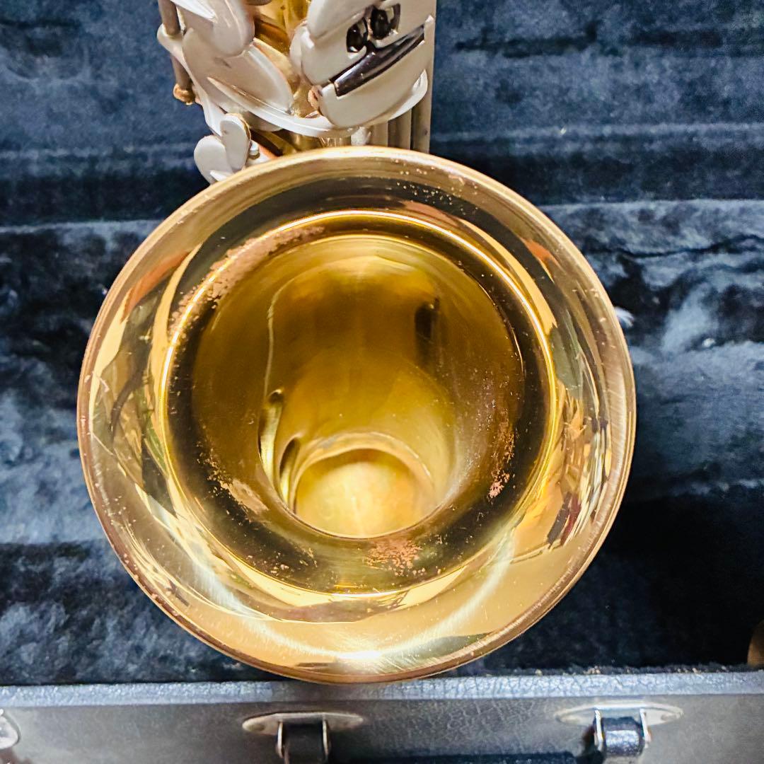 アルトサックス maxtone ジャンク ハードケース付