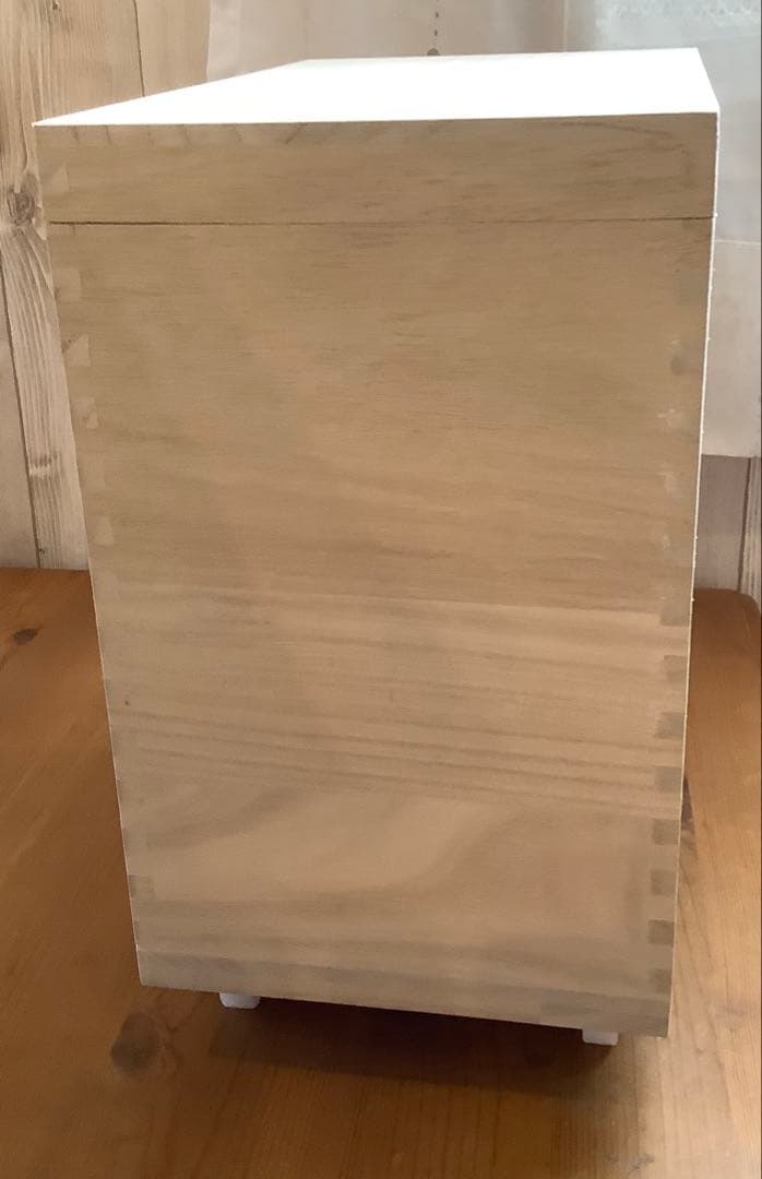 伊吹物産　技物専科　米びつ　10kg用