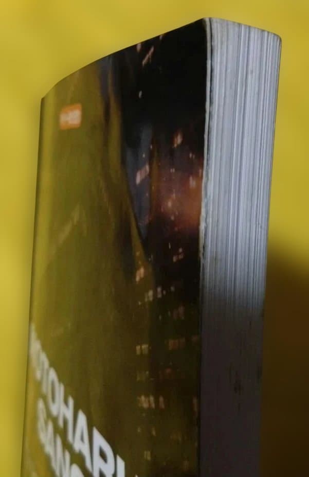 最終値下げ♪佐野元春 ギター・ソング・ブック