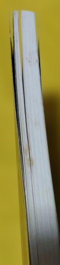 最終値下げ♪佐野元春 ギター・ソング・ブック