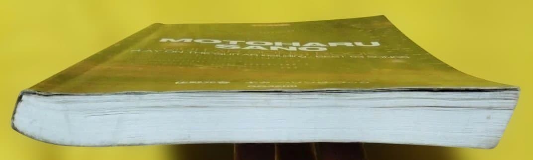 最終値下げ♪佐野元春 ギター・ソング・ブック