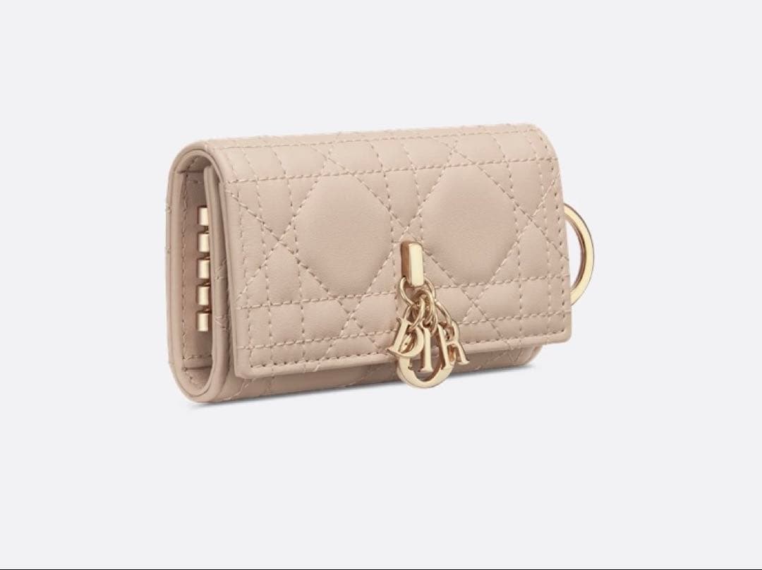 【日本限定】DIOR My Dior Aster キーケース