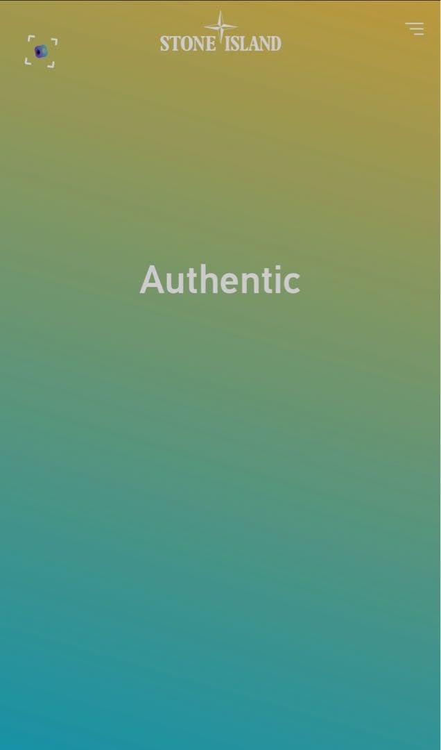 STONE  ストーンアイランド Tシャツ 半袖 ロゴ ワッペン