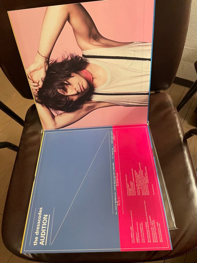 ドレスコーズ　オーディション　レコード