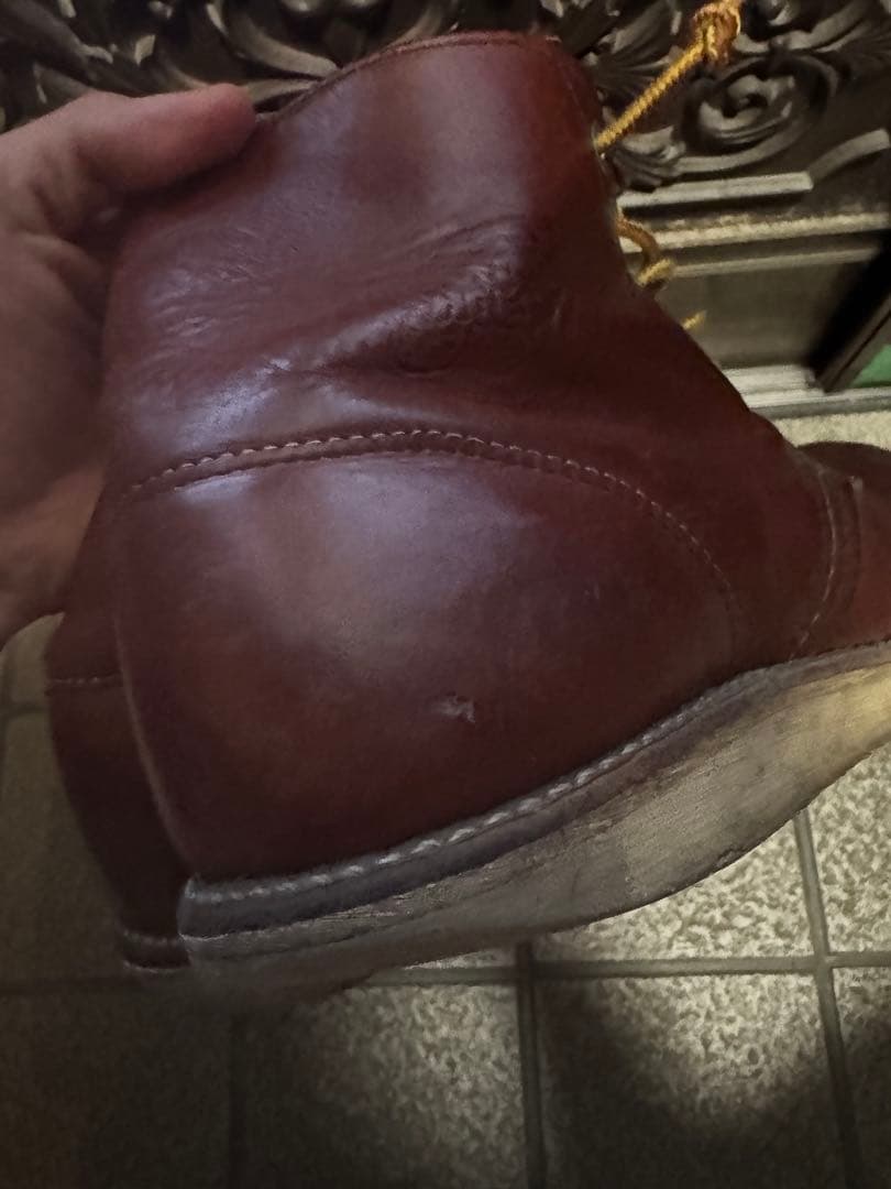 レッドウィング　こんにちは