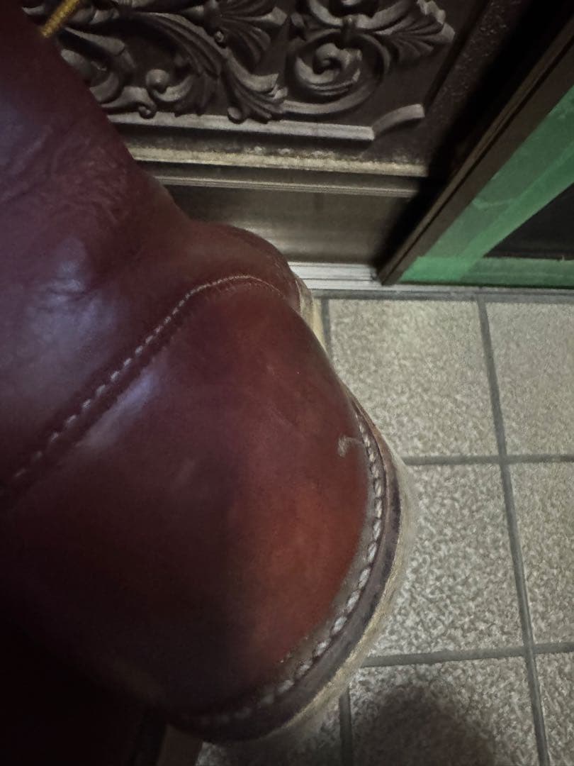 レッドウィング　こんにちは