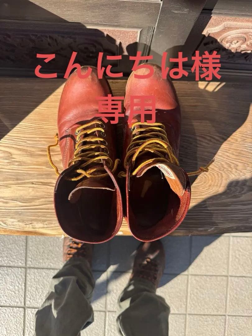 レッドウィング　こんにちは