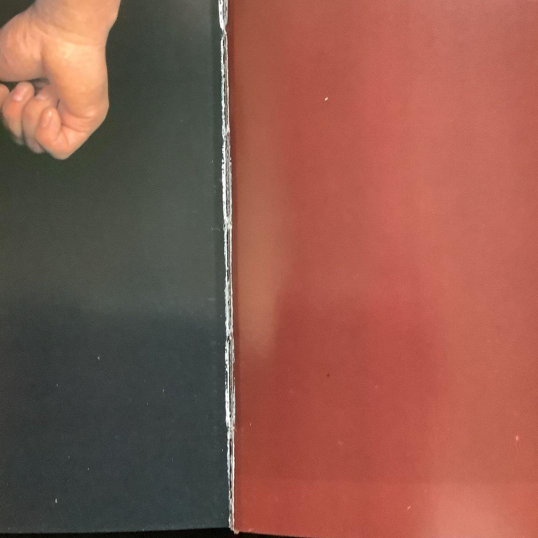 コハク　日本刺青艶譜　TATTOO